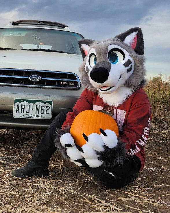 shaded halfbody shaded halfbody